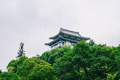 胡桃和丘丘人繁殖后代图片-胡桃与丘丘后代奇遇：神秘繁殖图鉴 