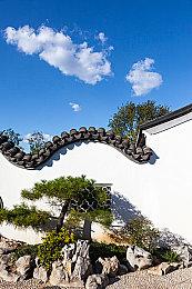 18大成人禁用黄色软件-18岁禁用黄软严规解读与应对策略 