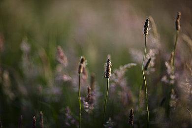 花季传媒3.0-花季传媒3.0升级攻略解析 